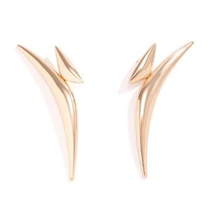 Edgy Statement Earrings
